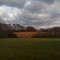 Backyard in foothills of TN