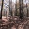Trail of Tears, David Crockett State Park