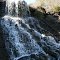Fall in David Crockett St Park