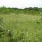 Harrell Prairie Hill