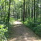 Shockaloe Trail