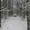 Snow in Mississippi