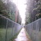 An alternate sidewalk