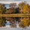 Fall Reflections at Orgill Park