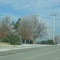 After the Ice Storm