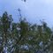 The Sky