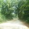 BackRoad