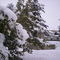 nieve en naharros