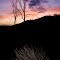 Atardecer seco