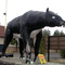 Most likely a sculpture of baluchitherium (Close-up)