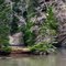 Bone River
