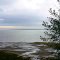 View of Willapa Bay