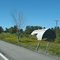Barn before Pomella Road