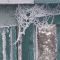 Frozen Spiderweb