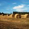 Hay rolls