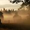 Morning mist over the Bitterroot Valley