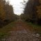 Abandoned Railroad