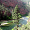 Flaming Gorge, UT