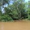 Mouth of Fairforest Creek