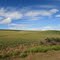 Rolling Hills..