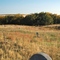 Pioneer Cemetary in Wasco.