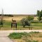 2011, Deerfield, KS, USA - along Rte 50 - The Oasis