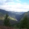 Siskiyou Forest - California