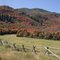 Wasatch Mountain State Park, UT