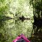 creek narrows