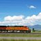 Burlington Northern Santa Fe Train, Montana, July 2010