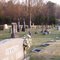 Cook Cemetery