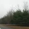 Guard rail on 49