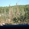 Charlton / Southbridge tornado 6-1-2011