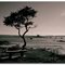 La baie de Portsmouth