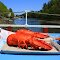 Chauncey Creek Lobster Pier. Kittery Point, Maine.