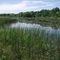 Chippewa Nature Center's Wetlands Area