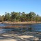Tarkill Pond, Brookhaven State Park