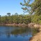 Tarkill Pond Brookhaven State Park