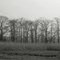 Wading River Marsh, Wading River, NY.