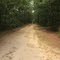 Brookhaven state park