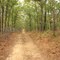 Brookhaven State Park - Red trail