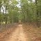 Brookhaven State Park - Red trail