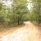 Brookhaven State Park - Red trail