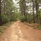 Brookhaven State Park - Red trail