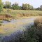 Kawkawlin River