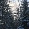 Beautiful sunrise on cold Wisconsin morning