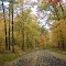 Forest Road 272/Pioneer RD Grandview WI Chequamegon National Forest Oct 2012