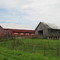 Farm
