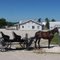 Amish Horse and Buggy at Miller's Bakery, Adams County, Ohio