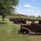 Old cars out on Hwy. 6 near Cisco, Texas